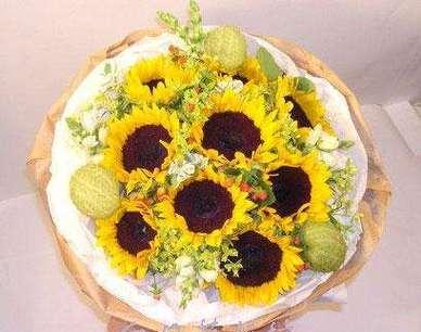 生小孩送什么花最合适？不同场合下花卉选择指南？