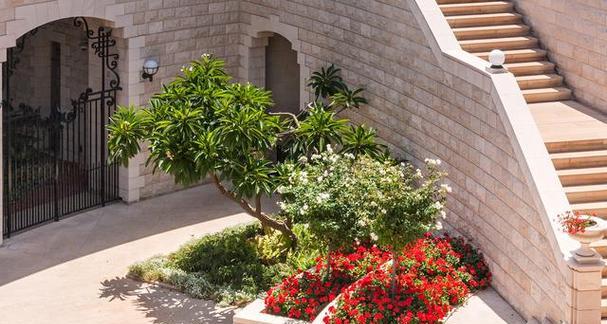 大门前种什么花风水好？如何选择合适的花卉提升家居运势？