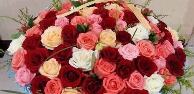 仙人球花的花语与寓意（探寻仙人球花的象征意义及其在生活中的应用）