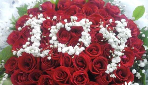 七朵玫瑰的寓意与象征（揭示七朵玫瑰的花语和隐喻）