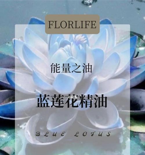 蓝莲花（探索蓝莲花的象征意义与生命启示）