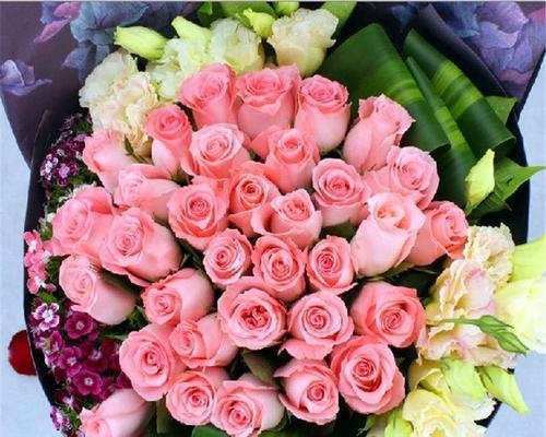 21朵玫瑰花语的深意与传承（用21朵玫瑰传递爱与情感的力量）