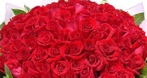 红玫瑰的花语是什么？如何正确表达爱意？