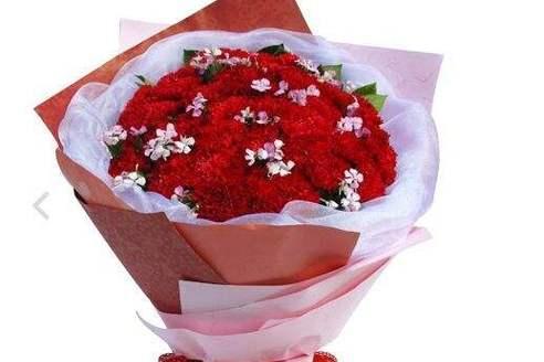 康乃馨的寓意与象征(用十一朵康乃馨传递的情感和意义) 康乃馨的寓意与象征(用十一朵康乃馨传递的情感和意义)