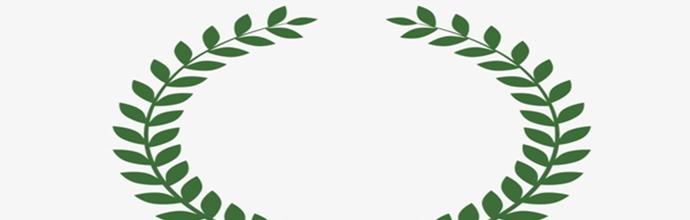 橄榄枝的象征意义与传统文化（探寻橄榄枝在历史和艺术中的象征力量）