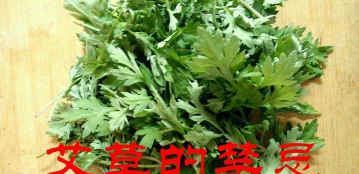 艾叶繁殖方法有哪些？繁殖过程中应注意什么？