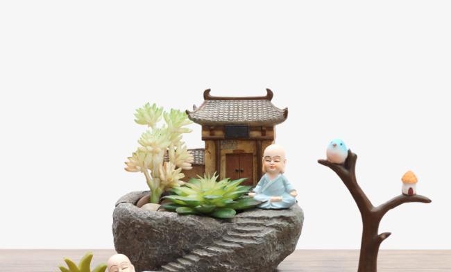 室内盆景植物有哪些?如何选择适合自己的室内植物? 室内盆景植物有哪些?如何选择适合自己的室内植物?