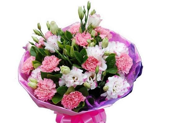 康乃馨的象征与寓意（探索康乃馨的内涵和文化象征）