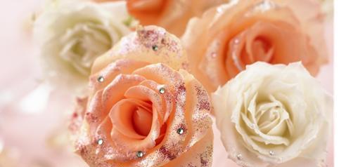 浪漫花语——以花为媒，传递爱的情感（探寻花的浪漫意义）