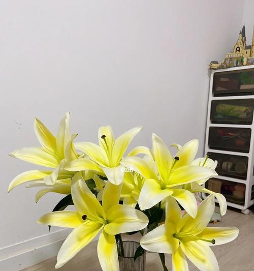 黄天霸百合的意义与象征（揭示自由）