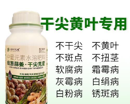 生姜用什么肥料好？如何正确施肥以提高产量？