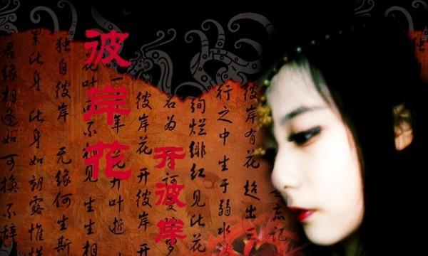 花开残忍的世界（揭秘花朵背后的残忍花语）