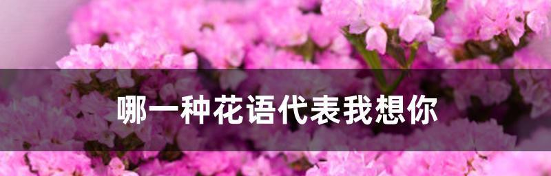 什么花代表永不再见的花语？这种花的含义是什么？