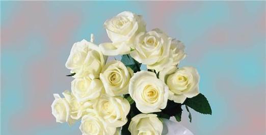 白玫瑰的寓意与象征——纯洁与无声的美（解读白玫瑰的象征意义及其文化内涵）