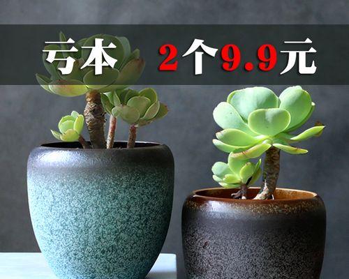 瓷花盆换土的最佳时间和步骤是什么? 瓷花盆换土的最佳时间和步骤是什么?