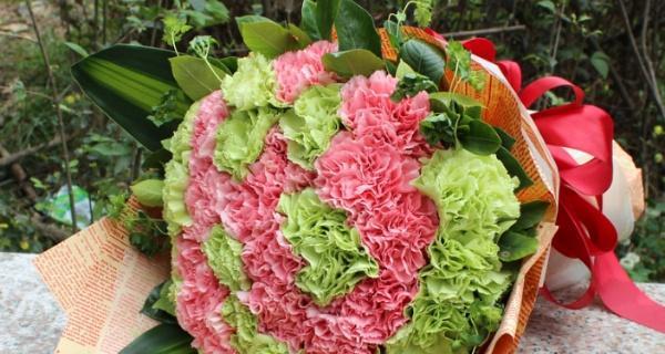 康乃馨花代表什么意思?不同颜色的康乃馨花语有何不同?