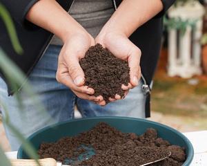 鸟粪可以做肥料吗？如何正确使用鸟粪作为有机肥料？