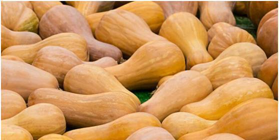 南瓜对身体是上火还是降火？每天应该吃多少才合适？