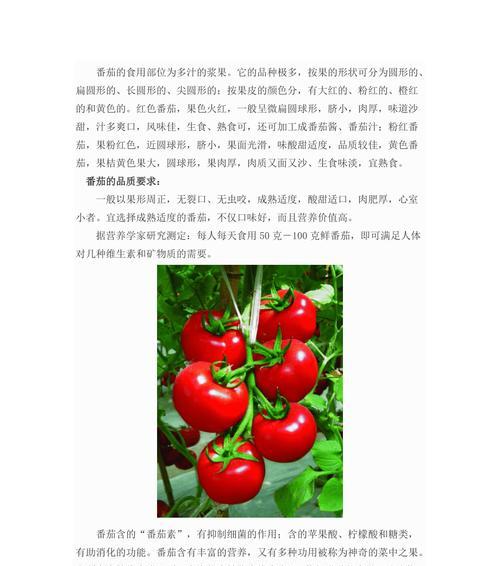 南瓜对身体是上火还是降火？每天应该吃多少才合适？