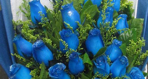 《蓝色妖姬的寓意探析》(探寻蓝色妖姬所代表的象征意义)