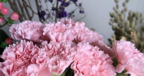 康乃馨花语的含义和传说（康乃馨传递爱与敬意的象征）