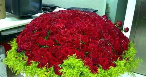 玫瑰花朵数的含义（玫瑰花朵数的象征与解读）