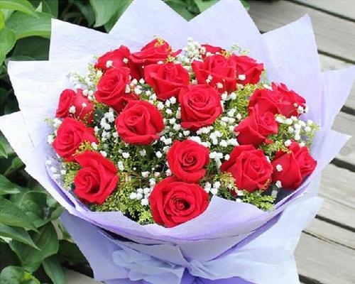 红色玫瑰花的花语（红色玫瑰花的花语解读及文化内涵）