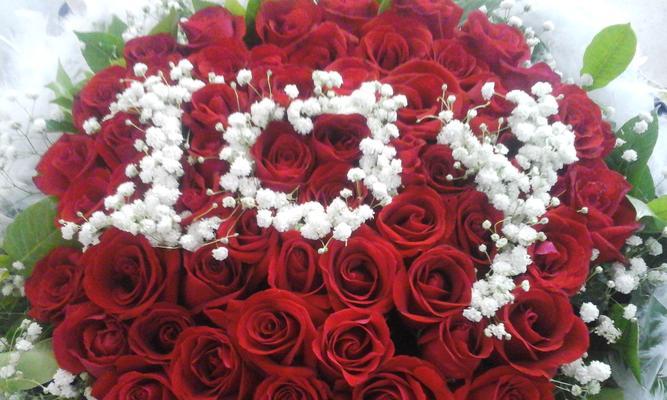 红玫瑰的象征意义（深情厚意）