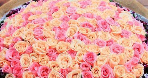 薰衣草的花语与寓意（薰衣草）