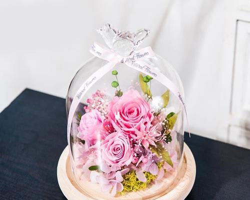 永生花的花语及其意义（探索永生花的深刻寓意与象征）