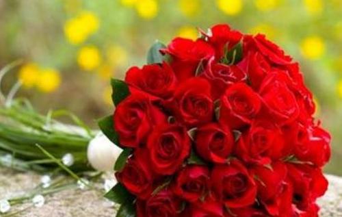 红玫瑰之花语（12朵红玫瑰的深刻含义与表达方式）
