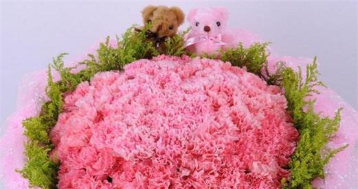 康乃馨花语与意义解读（美丽的康乃馨花所传递的情感和寓意）