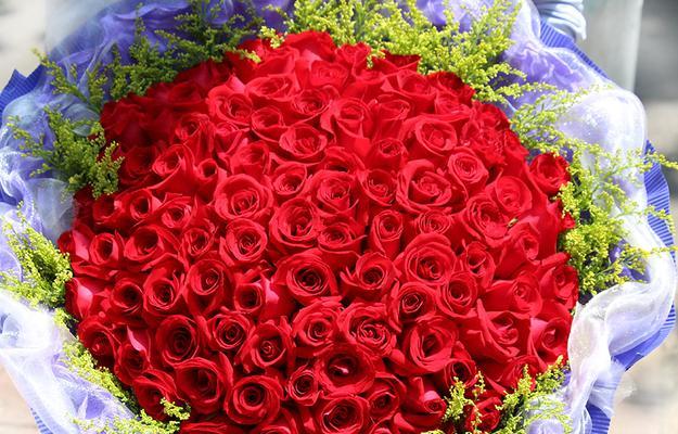 2朵玫瑰花的情感象征与寓意（玫瑰花的深层意义与人生启示）