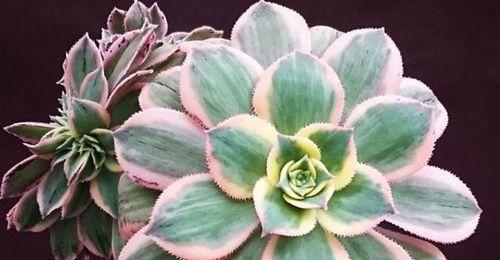 法师夏天如何安全度过？防暑降温的正确方法是什么？