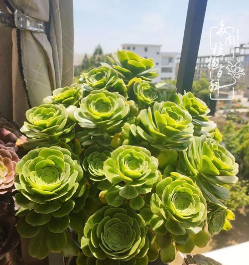 法师夏天如何安全度过？防暑降温的正确方法是什么？