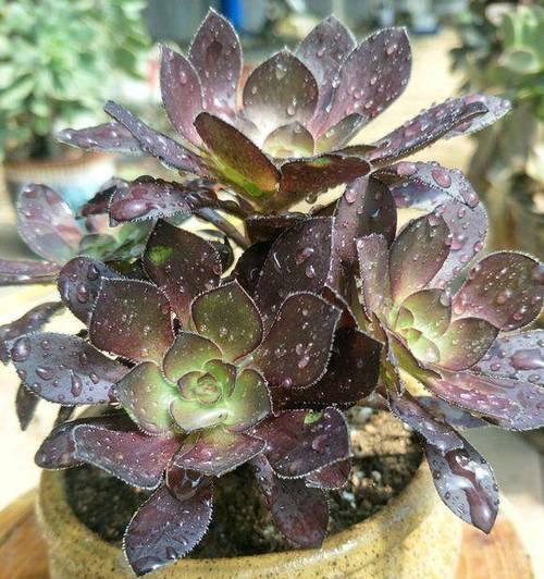 法师夏天如何安全度过？防暑降温的正确方法是什么？