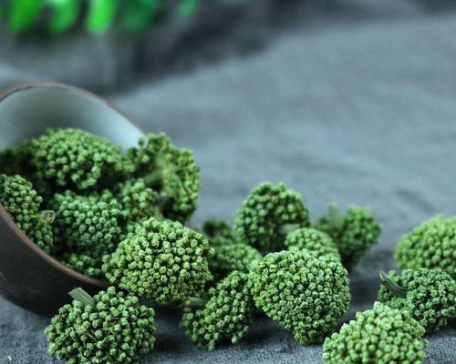 三七花可以吃吗?食用三七花的正确方法和注意事项是什么?_花植网