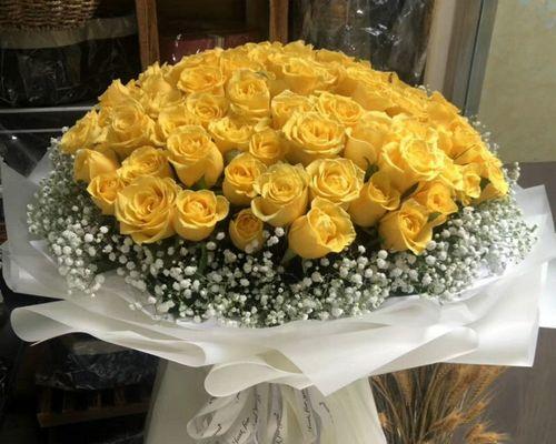 黄玫瑰花的含义与象征（探寻黄玫瑰花背后的花语）