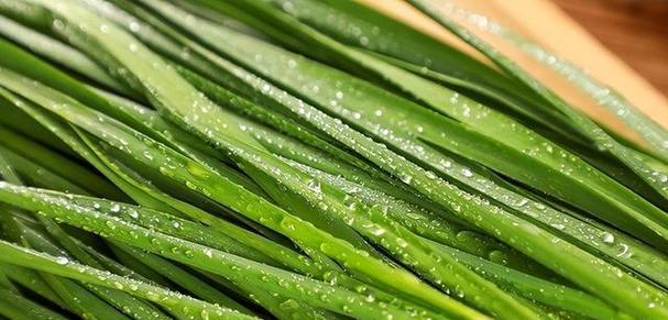 韭菜冷冻保存的正确方法是什么？冷冻后会影响口感吗？