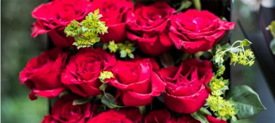 19朵玫瑰的含义（一束花言巧语）