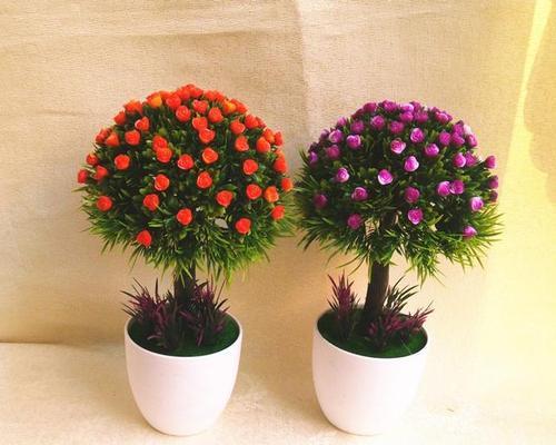 适合家里养的花卉有哪些？如何选择适合家庭环境的植物？