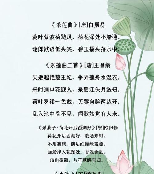 荷花的开花季节与花语寓意（探秘荷花的开放时机及象征意义）