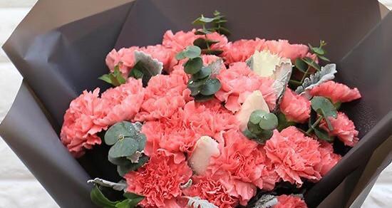 康乃馨朵数的意义与象征（用康乃馨解读不同朵数所代表的含义）