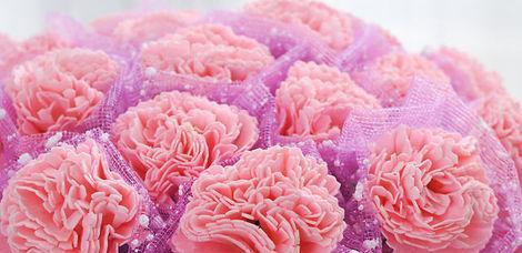 康乃馨朵数的意义与象征（用康乃馨解读不同朵数所代表的含义）