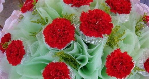 康乃馨花语（康乃馨花语的意义及传承）