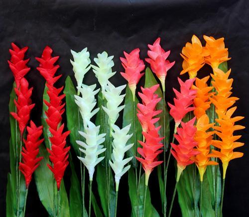 凤梨花之美与寓意（探索凤梨花的花语与象征意义）