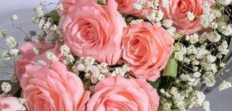 玫瑰花语解读（探寻玫瑰花背后的深意——花语之谜揭秘）