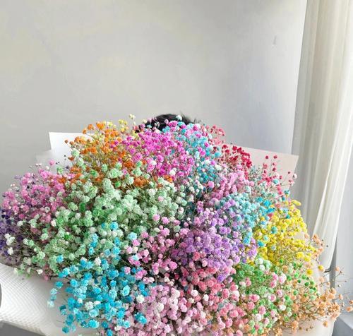 满天星的花语——浪漫之花的美丽传说（花开如星）