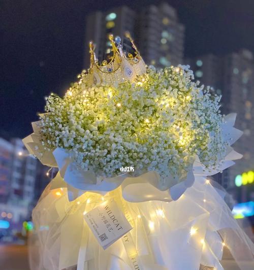 白色的满天星（解读满天星花卉的意义和象征）