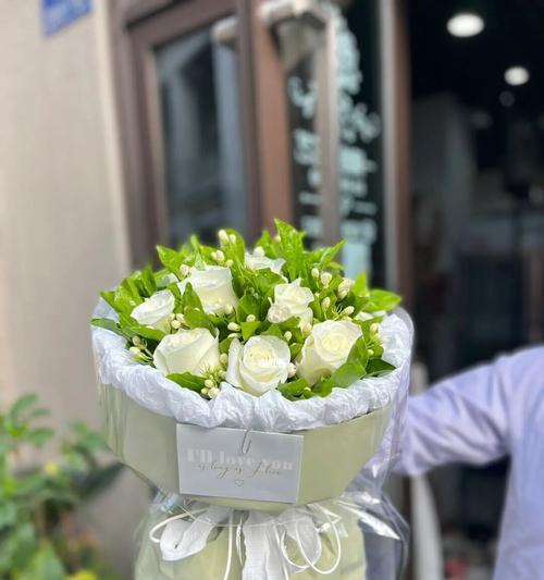 白玫瑰的象征意义和寓意（探索白玫瑰所代表的美好含义）